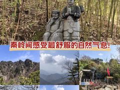 -王顺山国家森林公园