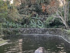 -海南热带野生动植物园