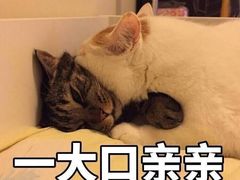 -百果园PAGODA(冠生园路店)