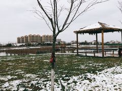 -江天生态园餐厅