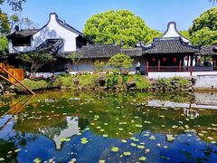 -上海醉白池公园