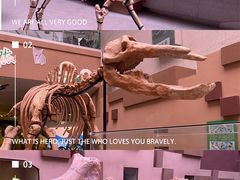 -陕西自然博物馆