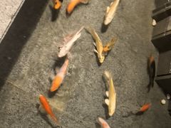 -新沸腾鱼乡(世贸天阶店)