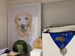 -彩虹桥宠物火化殡葬善终服务(金乐大厦店)