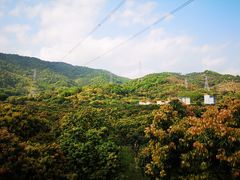 -广州市石门国家森林公园