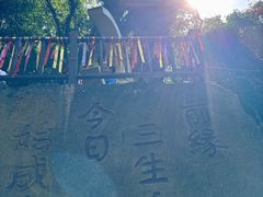 -七仙岭温泉国家森林公园