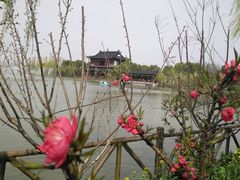 -南汇桃花村