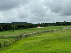 -济州森林小火车生态公园