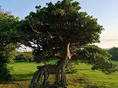 -龙坑生态保护区