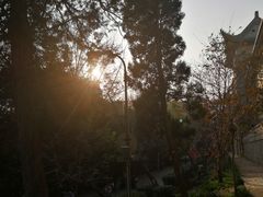 -武汉大学-樱园