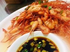 -全乐鱼馆·淳牌有机鱼直营店