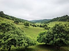 -关山草原