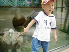 -贵州森林野生动物园