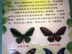 -上海昆虫博物馆