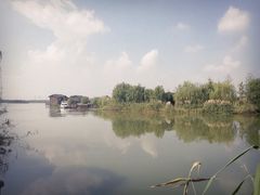 -南湖湿地公园