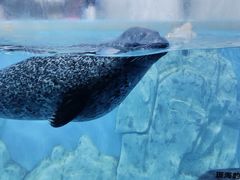 -多彩贵州城极地海洋世界