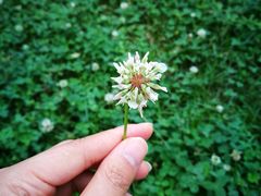 -白鹭湾湿地公园