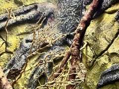 -上海海洋水族馆