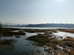 -洱海月湿地公园