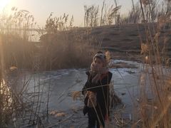 -丁香湖公园