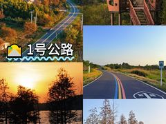 -紫藤园·天目湖大鱼头(南山竹海店)