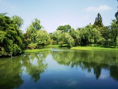 -西溪国家湿地公园