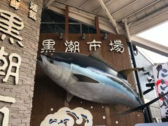 -黑潮市场