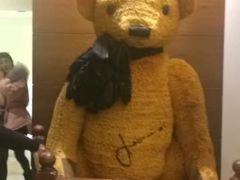 -济州岛泰迪熊博物馆