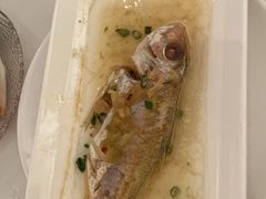 -麓湖国际水疗