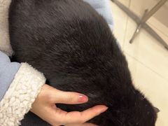 -怪兽屋·羊驼·猫咖·狗咖(俊华广场店)