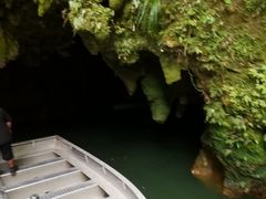 -怀托摩萤火虫洞