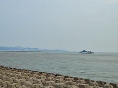 -野狸岛