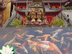 -上海东林寺(金山区)