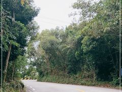 -呀诺达热带雨林