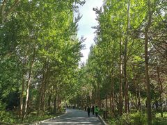 -长春公园(普阳街道)