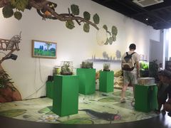 -UCCA Kids 儿童美育