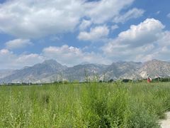 -敕勒川草原文化旅游区