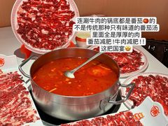 -陈记顺和潮汕鲜牛肉火锅(棠德南路店)