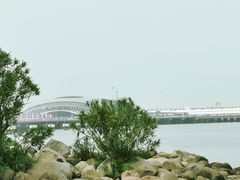 -上海吴淞炮台湾国家湿地公园