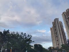 -四季合味椰子鸡(南山大冲店)