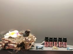 点击看大图 -栖SPA·ONDA ·海菲秀·皑皑科技美肤中心