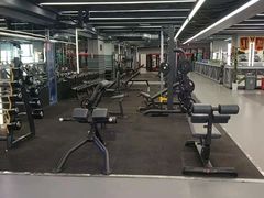 -金吉鸟健身游泳