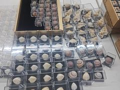 -青岛贝壳博物馆