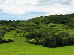 -御道口草原森林风景区