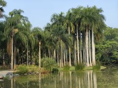 -中国科学院西双版纳热带植物园