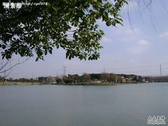 -昆山城市生态森林公园