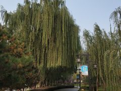 -西安汉城湖景区