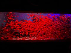 -多彩贵州城极地海洋世界