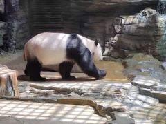 -西霞口神雕山野生动物世界