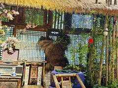 -田园印象·成都土菜院子(华阳店)